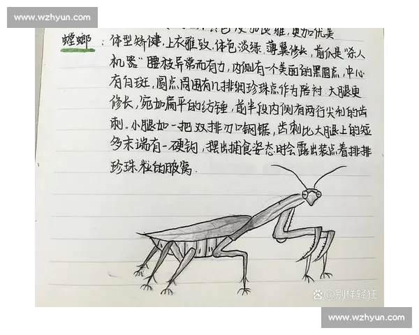 终点线前的 “螳螂”：跑者的失控与释放